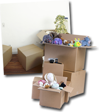 Household and Domestic Storage in Wexford